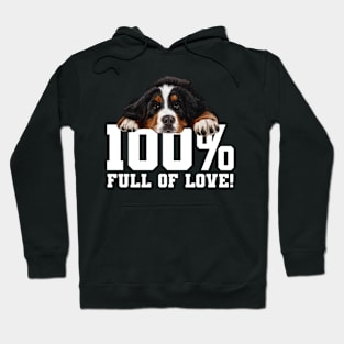 Bernese mountain dog Hoodie